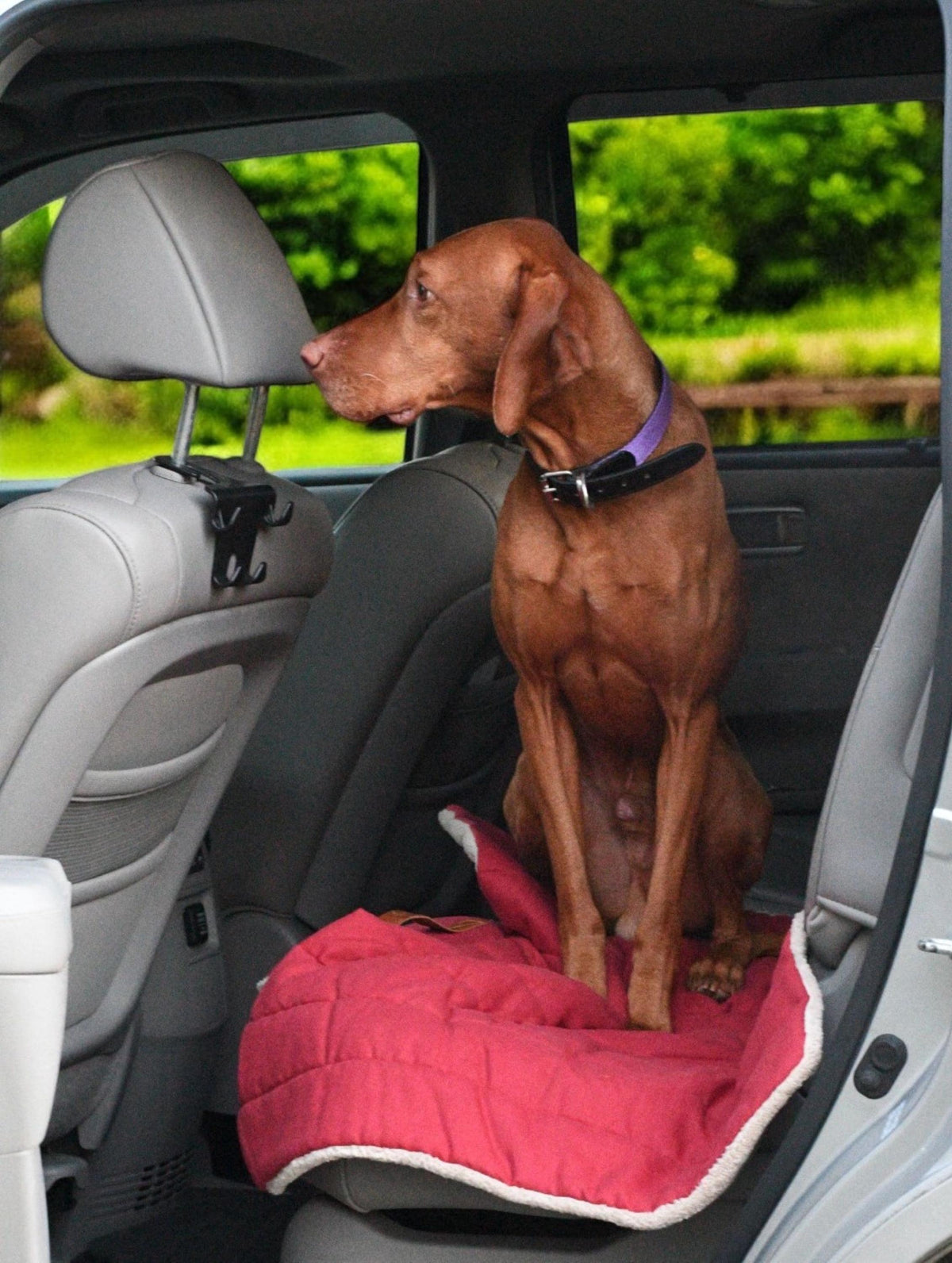 Travel Dog Mat - Handmade Cotton, Stain and Water Resistant